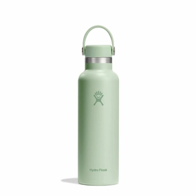 Hydro Flask 21 oz (621 ml) Standard Mouth In Aloe Kitchen,modern kitchen essentials