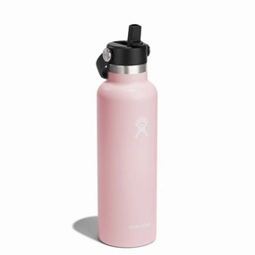 Hydro Flask 21 Oz Standard Mouth With Flex Straw Cap In Trillium Kitchen,modern kitchen essentials