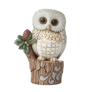 Jim Shore White Woodland Owl on Tree Stump Figurine Decorative Mirror,Home Decor Mirror