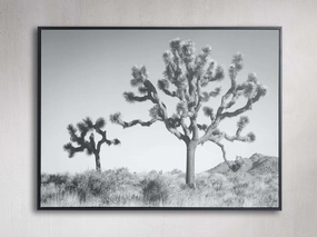Joshua Tree Duo Framed Print Wall Art,canvas wall art set