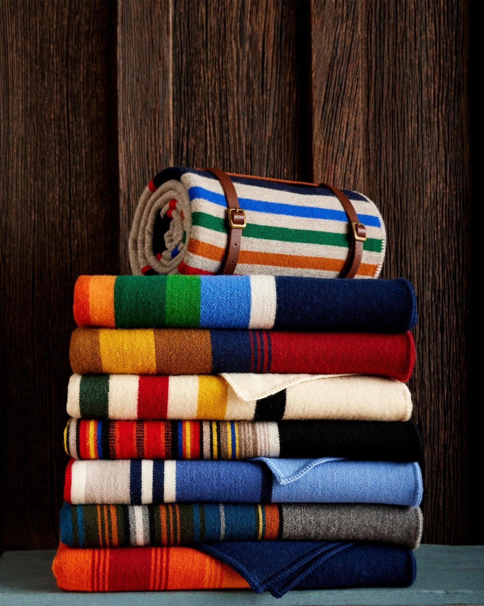 Joshua Tree National Park Throw Blanket w/ Carrier