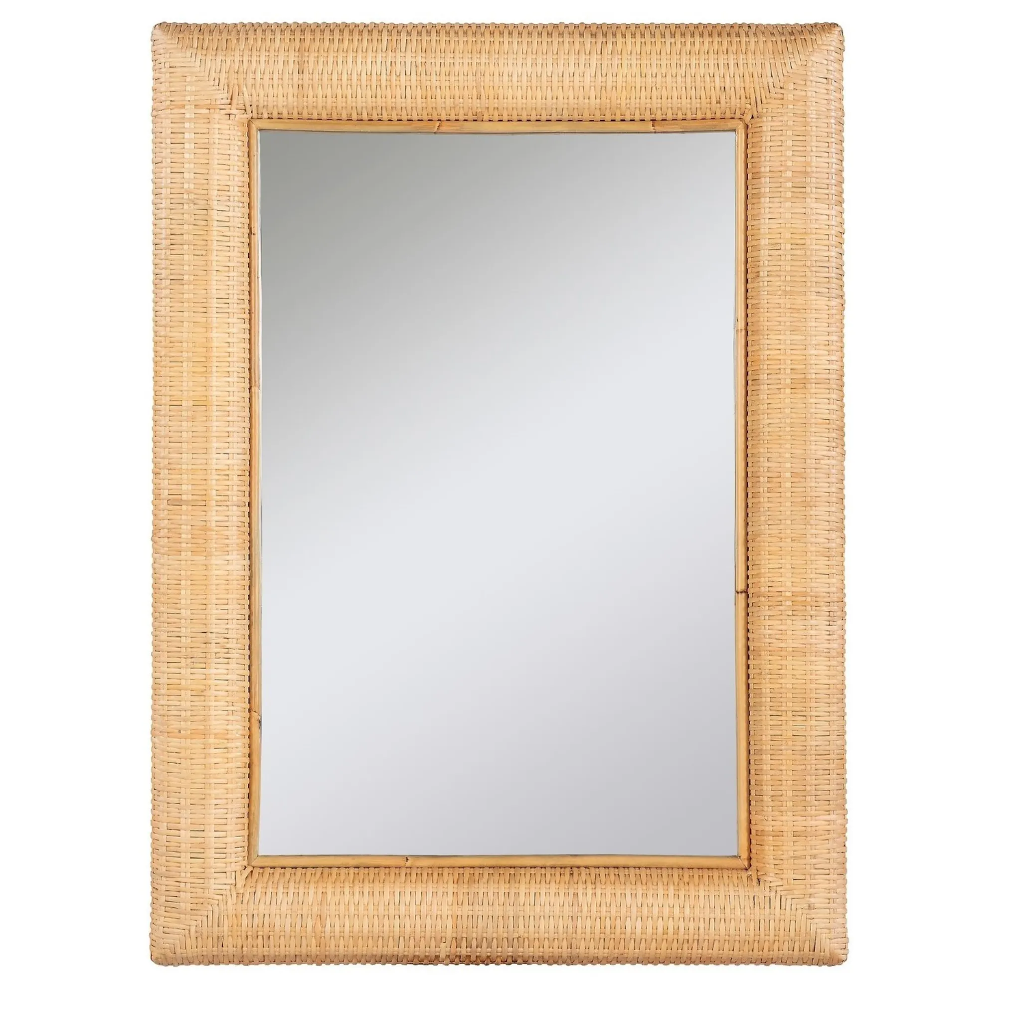 Large Palm Beach Rectangular Mirror