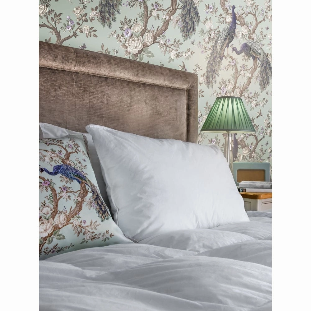 Laura Ashley Cotton Soft as Down Pillow