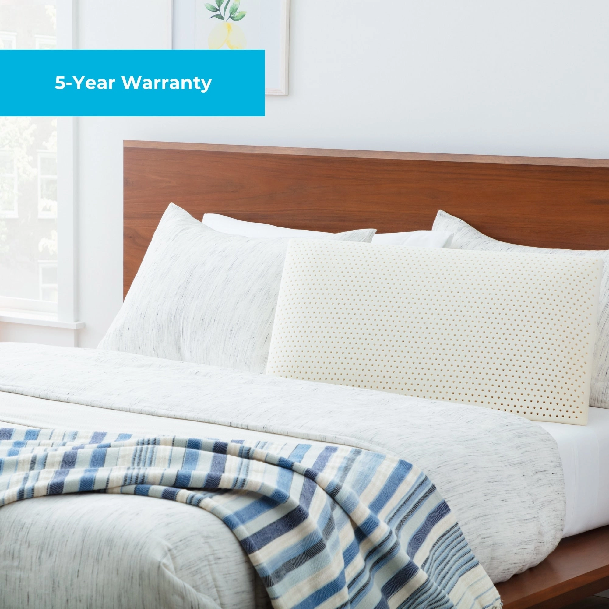 Linenspa Essentials Talalay Latex Pillow Queen