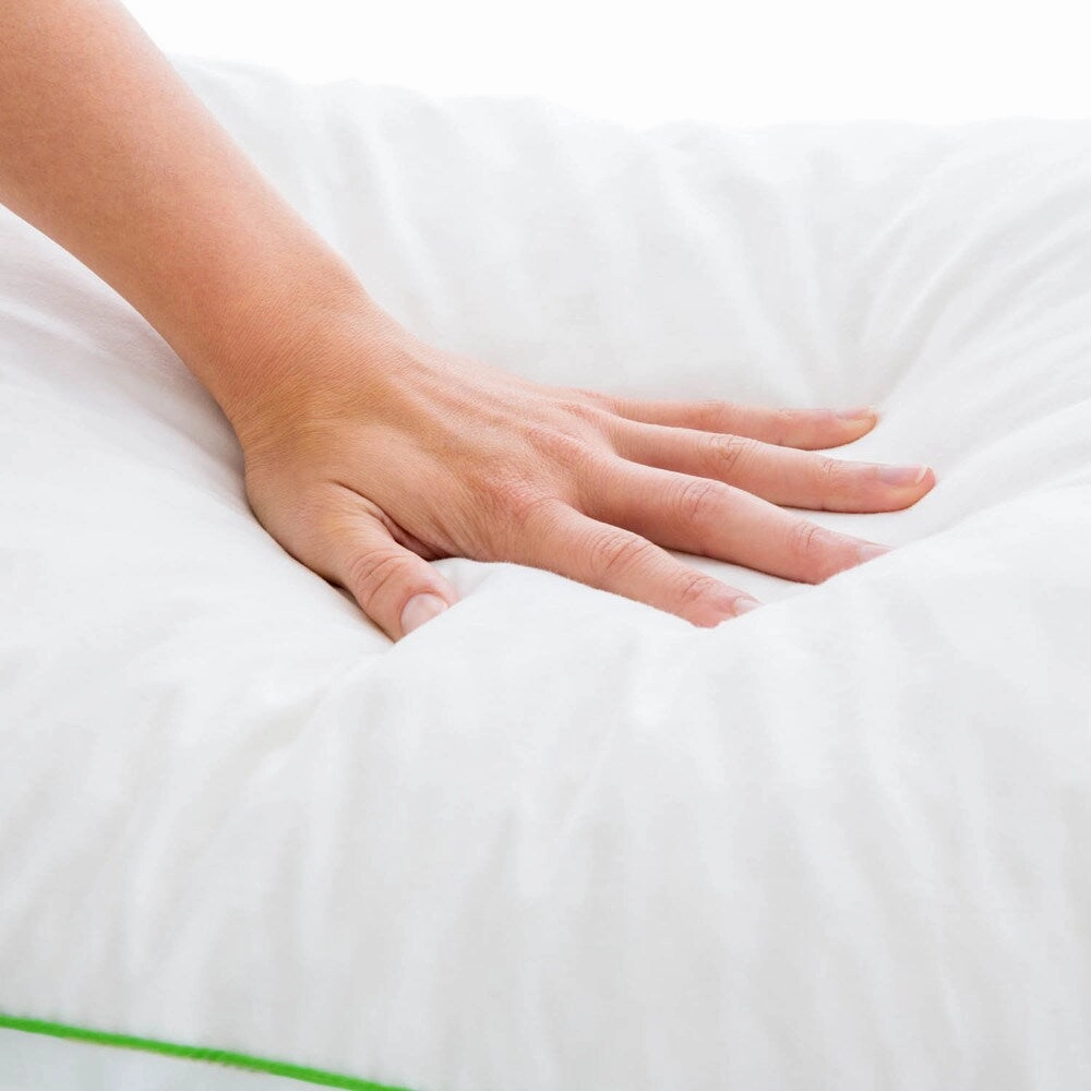 LINENSPA Shredded Talalay Latex Pillow with Cotton Percale Cover