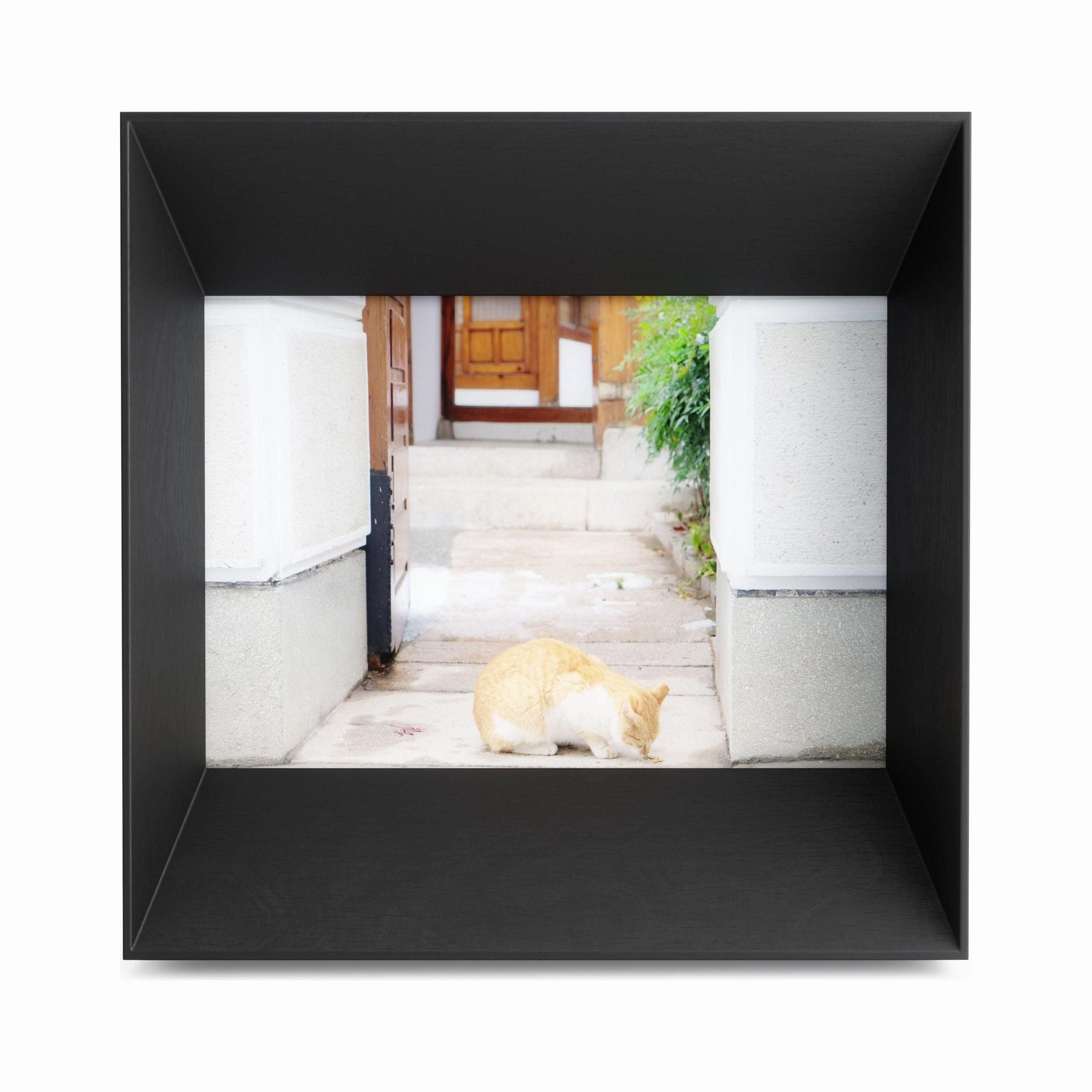 Lookout Picture Frame