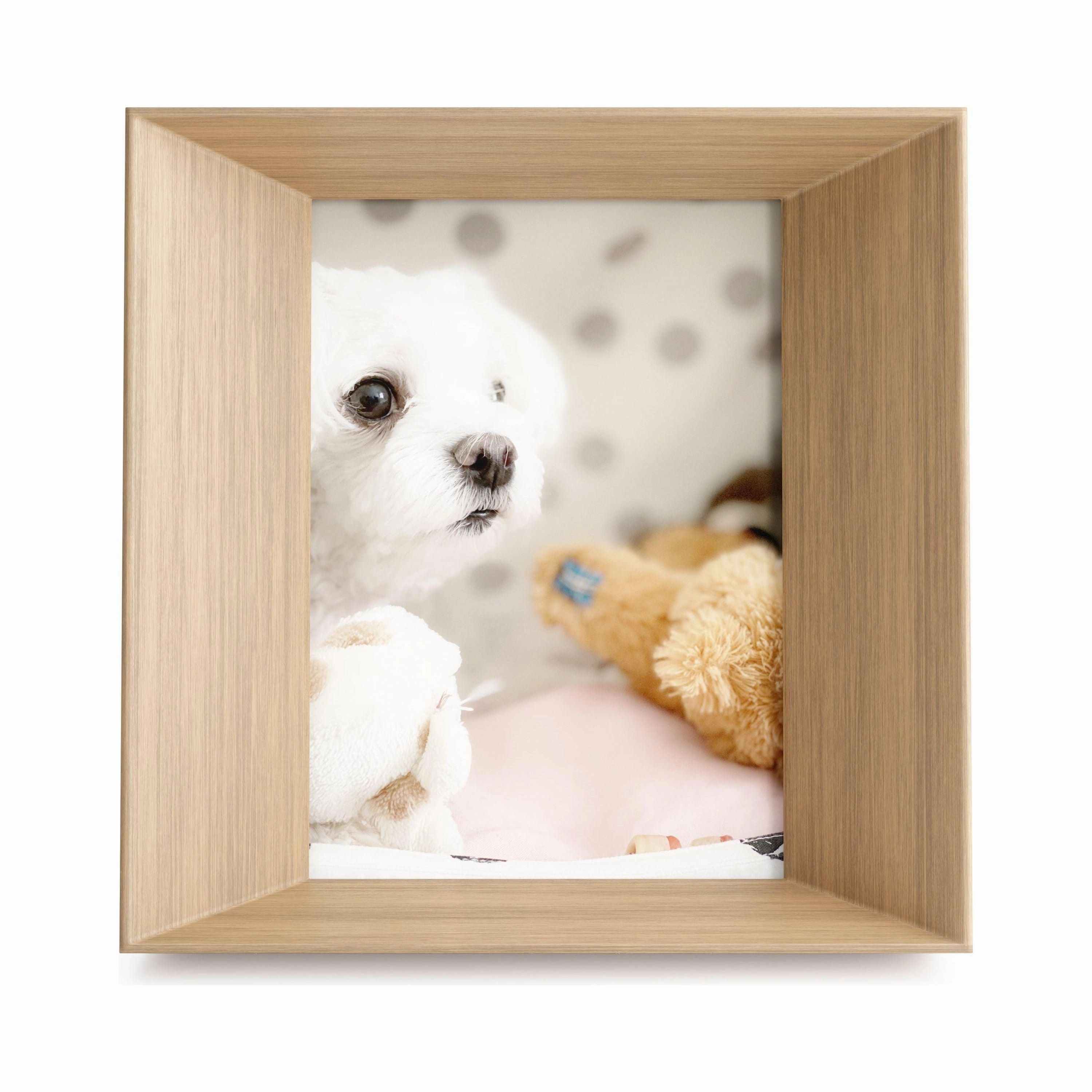Lookout Picture Frame