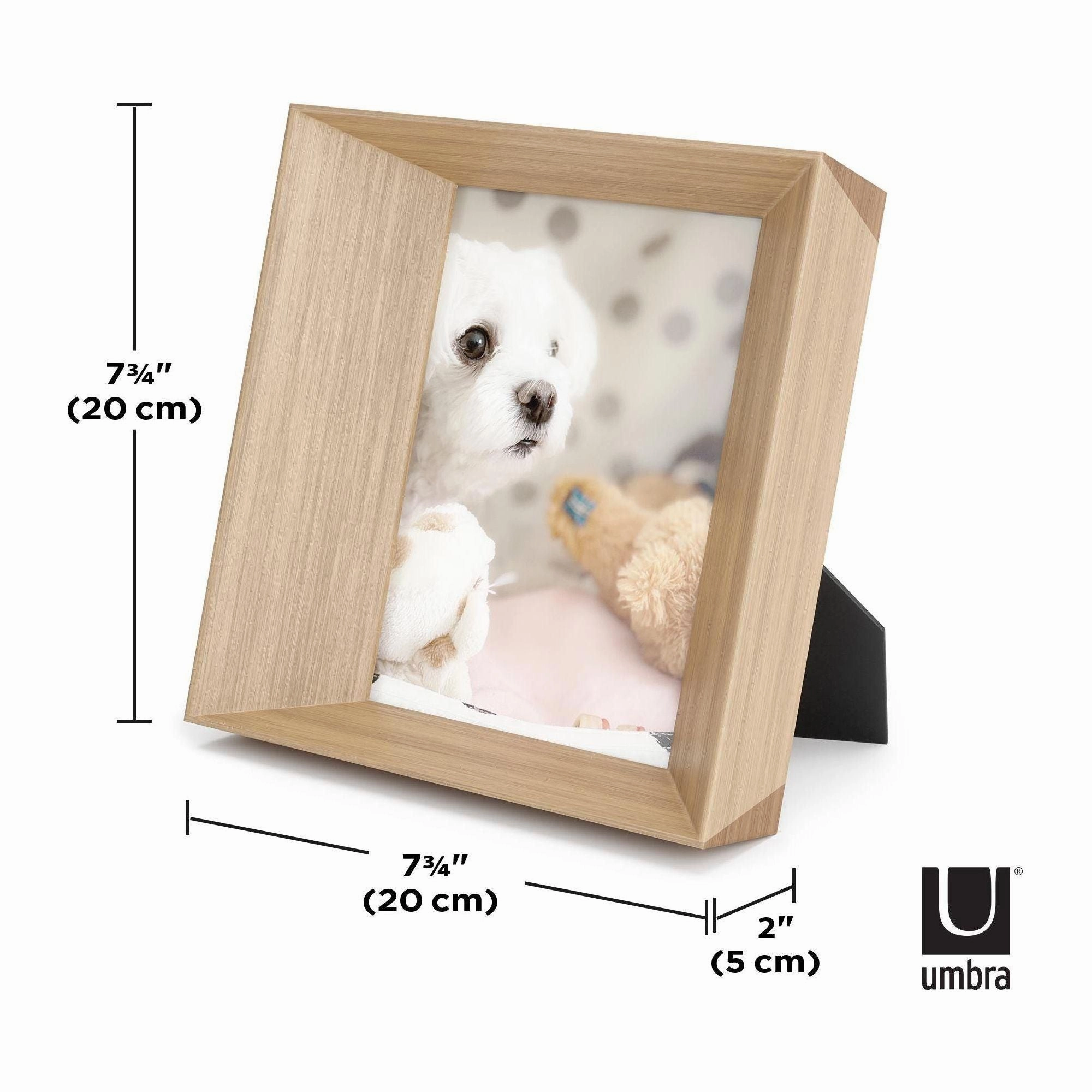 Lookout Picture Frame