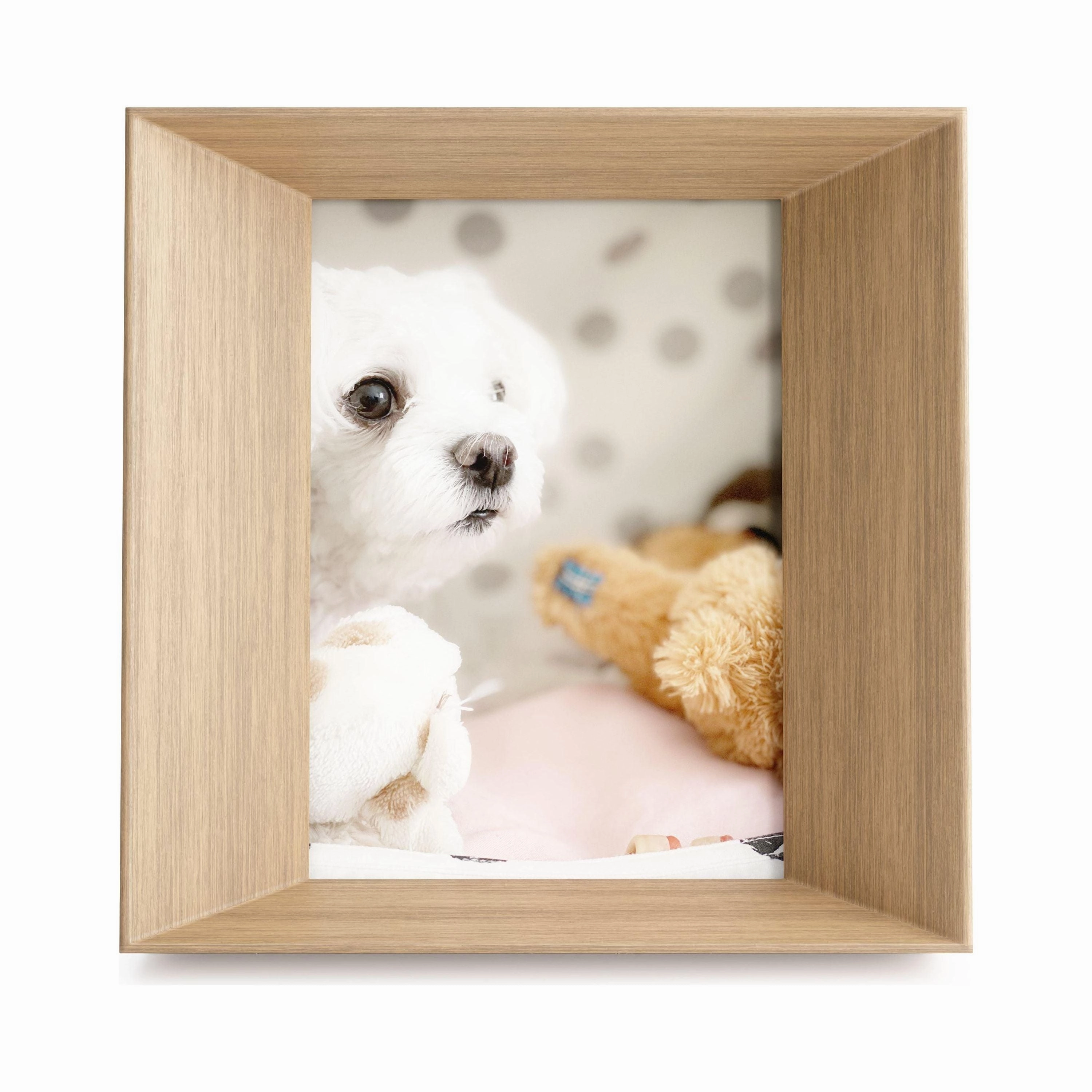 Lookout Picture Frame