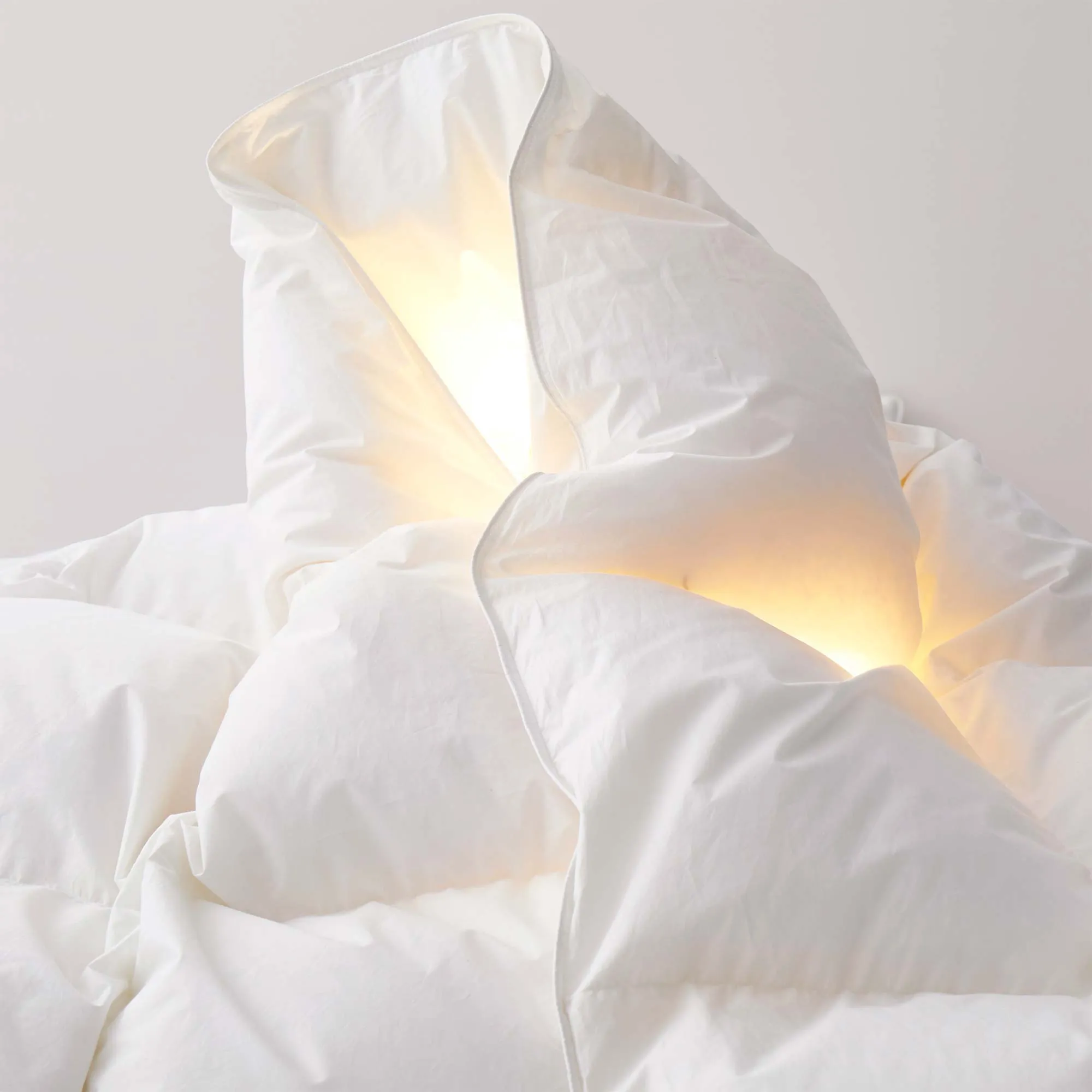Made in Germany 800 Fill Power 90% Down Fill European White Duck Down Comforter- Year Round ecco Shoes