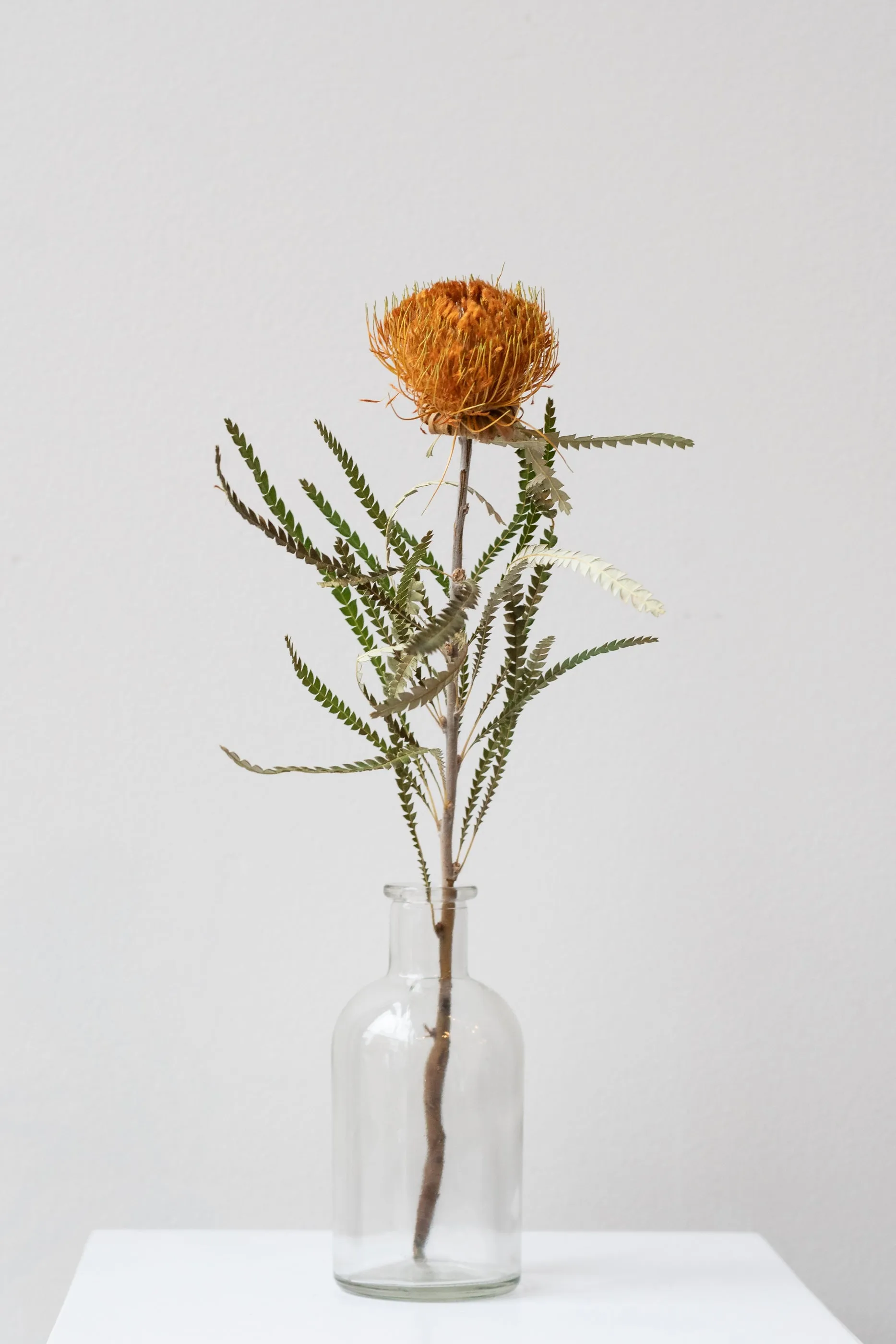 Medicine Bud Vase Clear