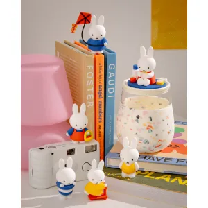 Miffy Goes Outside Blind Box Decorative Mirror,Home Decor Mirror
