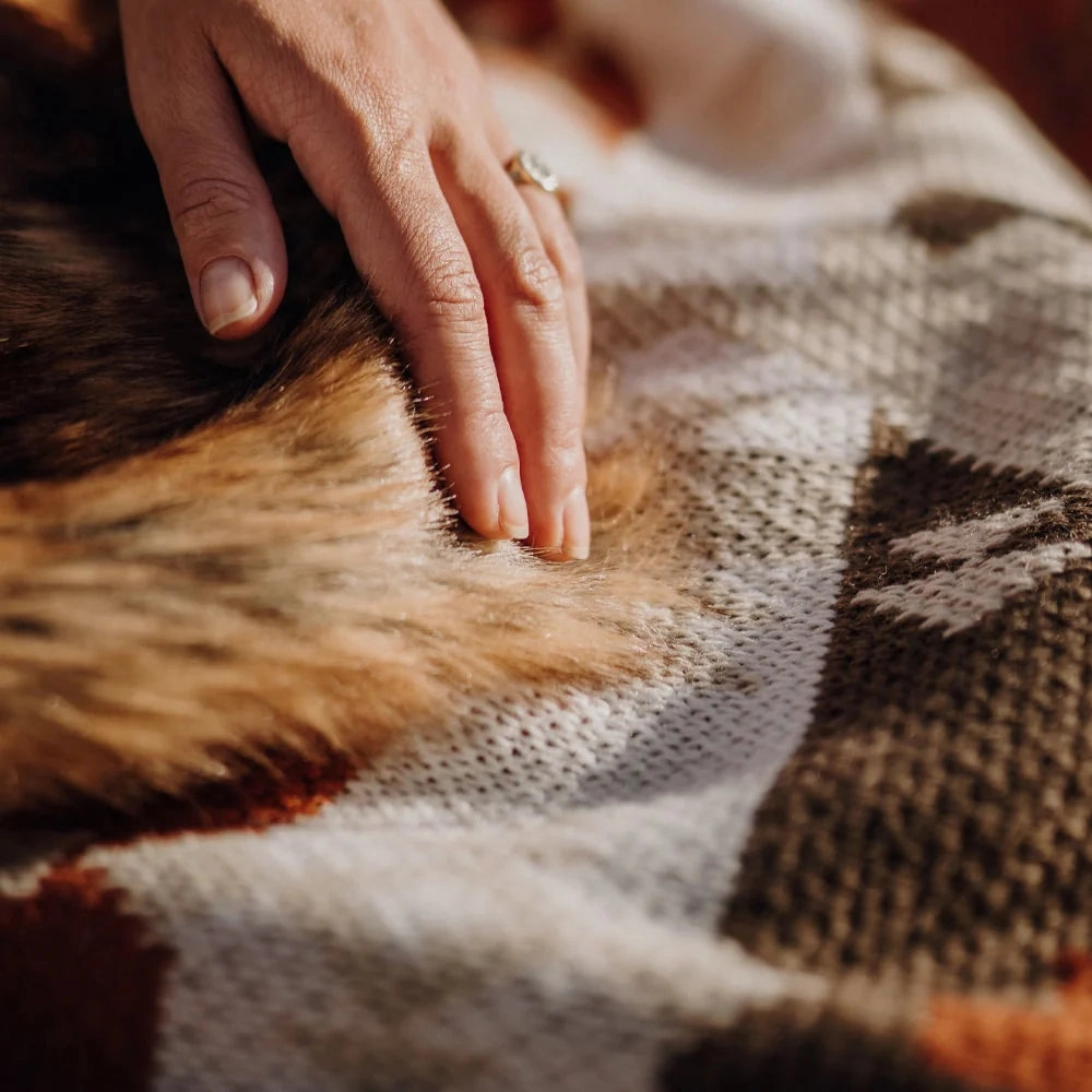 Mohave Muska Faux Fur Knitted Blanket - 2 Sizes