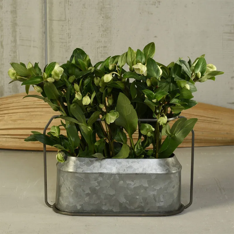 Napa Vase, Metal & Zinc - Oval, Lrg - Zinc