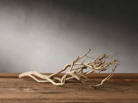 Natural Tea Tree Branch Home Decor & Accessories,decorative home accessories