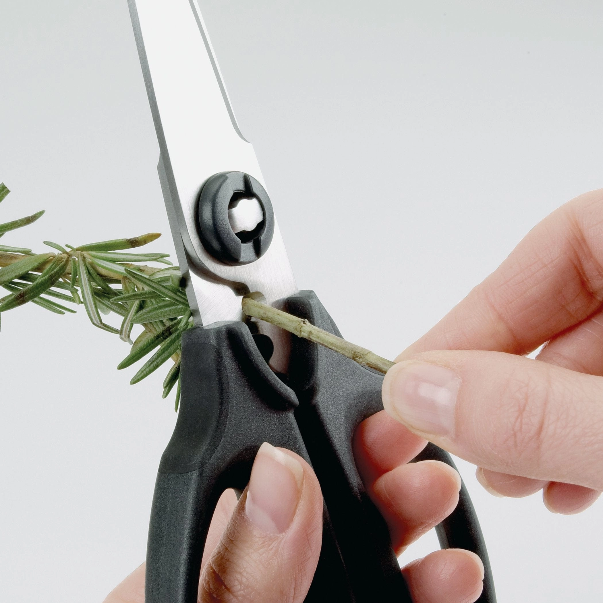 OXO Good Grips Scissors