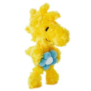 Peanuts Woodstock With Flower Stuffed Animal Decorative Mirror,Home Decor Mirror