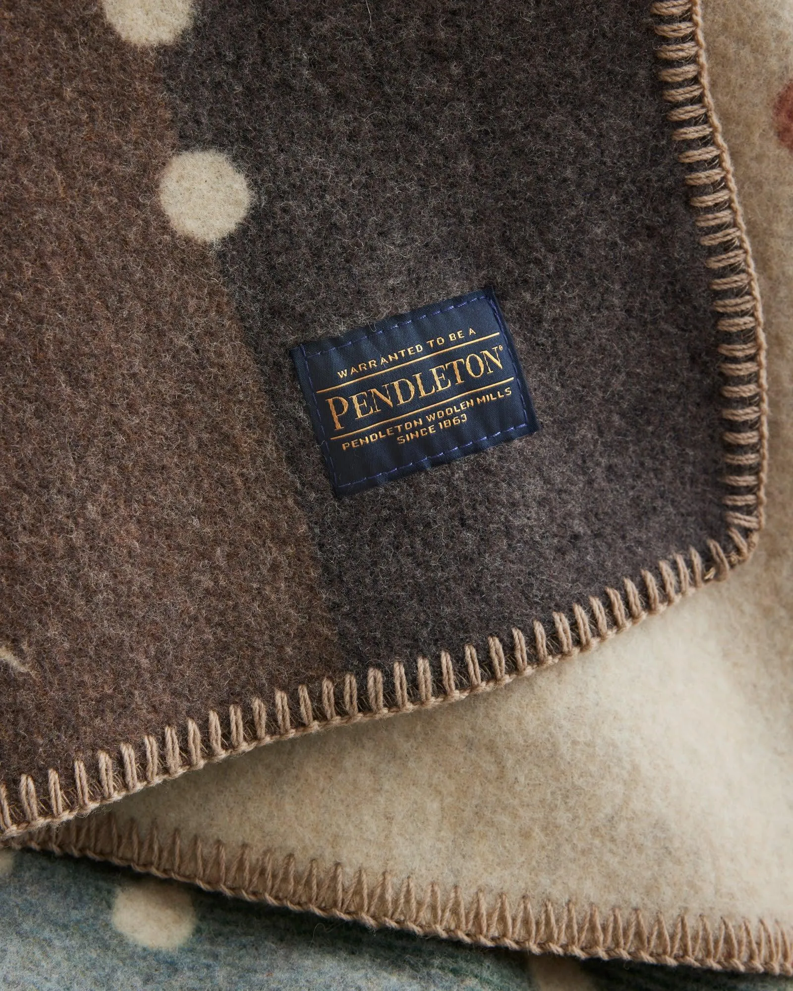 Pendleton Agate Beach Throw Blanket