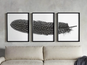 Pheasant Feather Framed Print (Set of 3) Wall Art,canvas wall art set