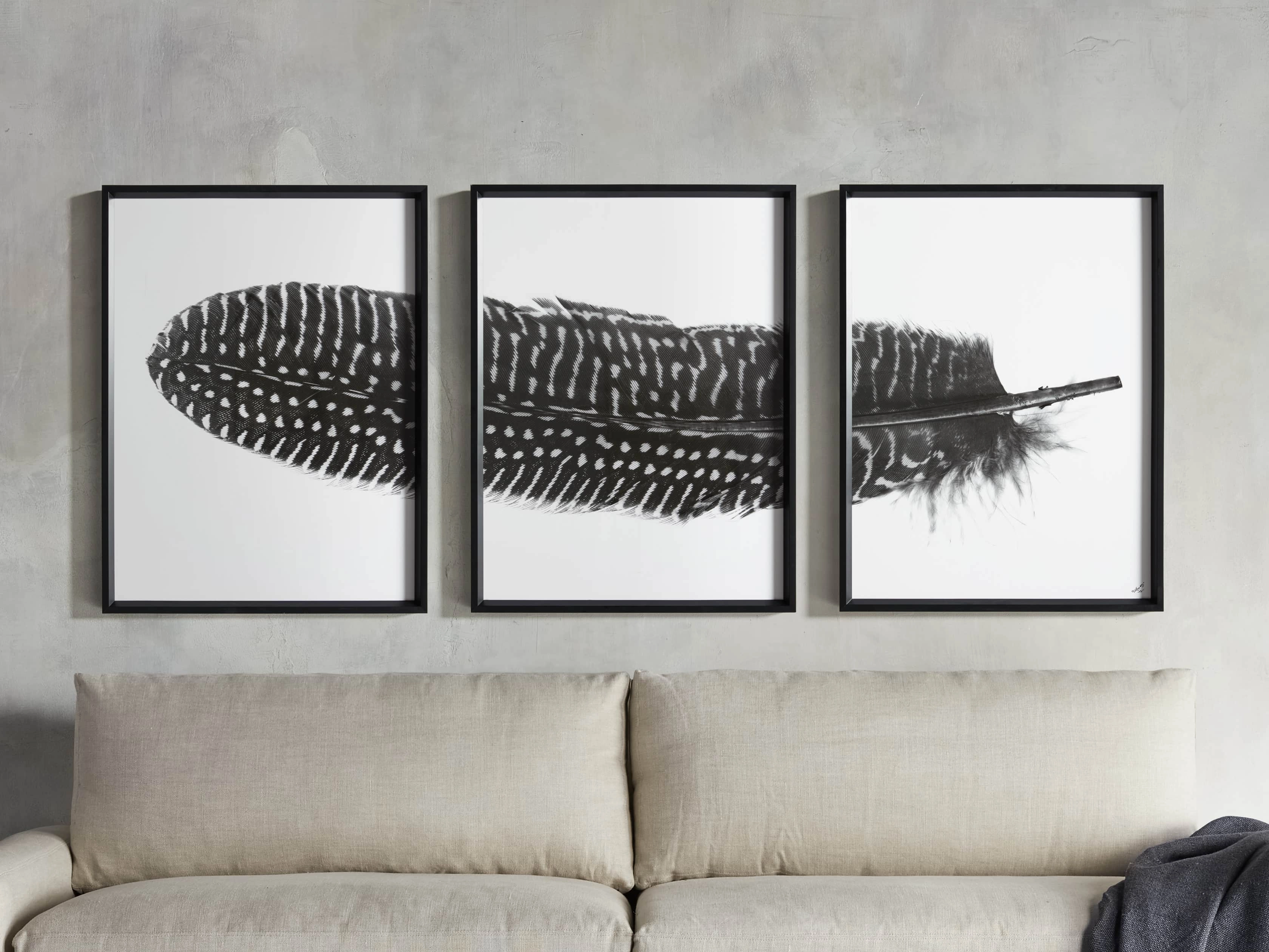 Pheasant Feather Framed Print (Set of 3) Wall Art,canvas wall art set