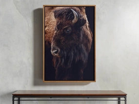 Plains Bison Framed Print Wall Art,canvas wall art set