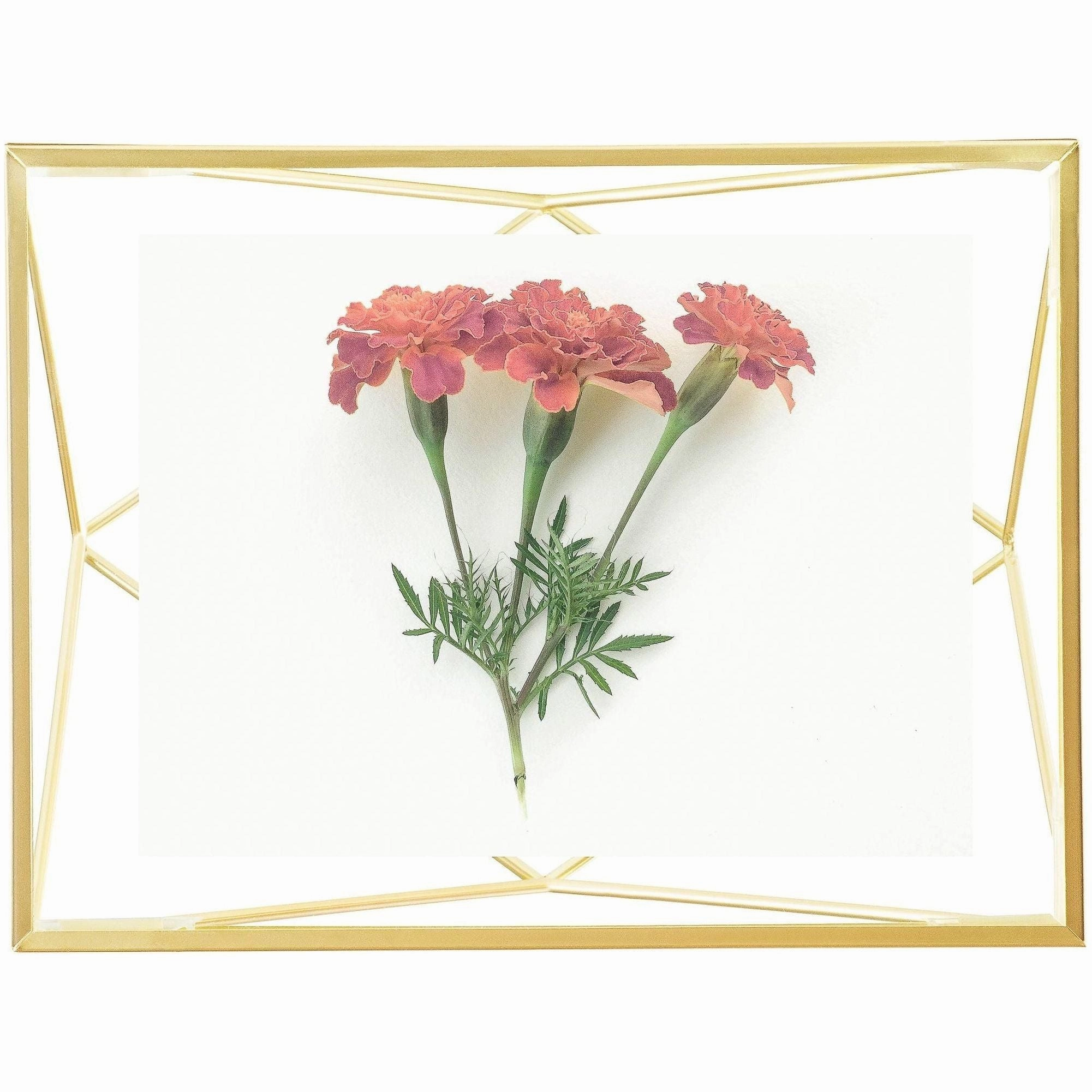 Prisma Picture Frame