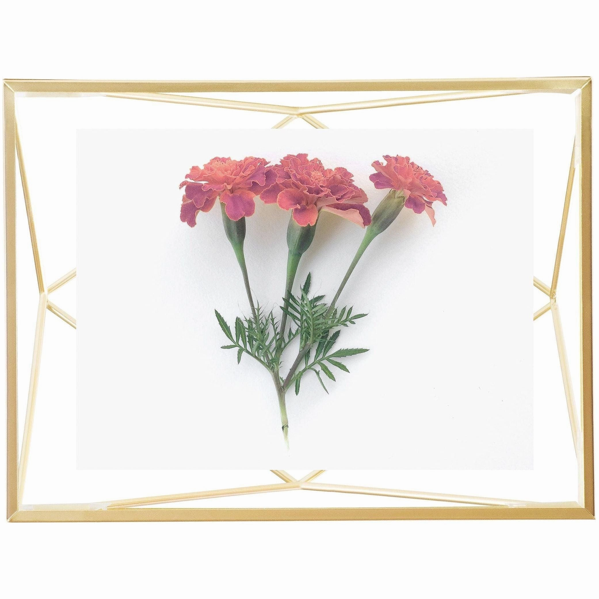 Prisma Picture Frame