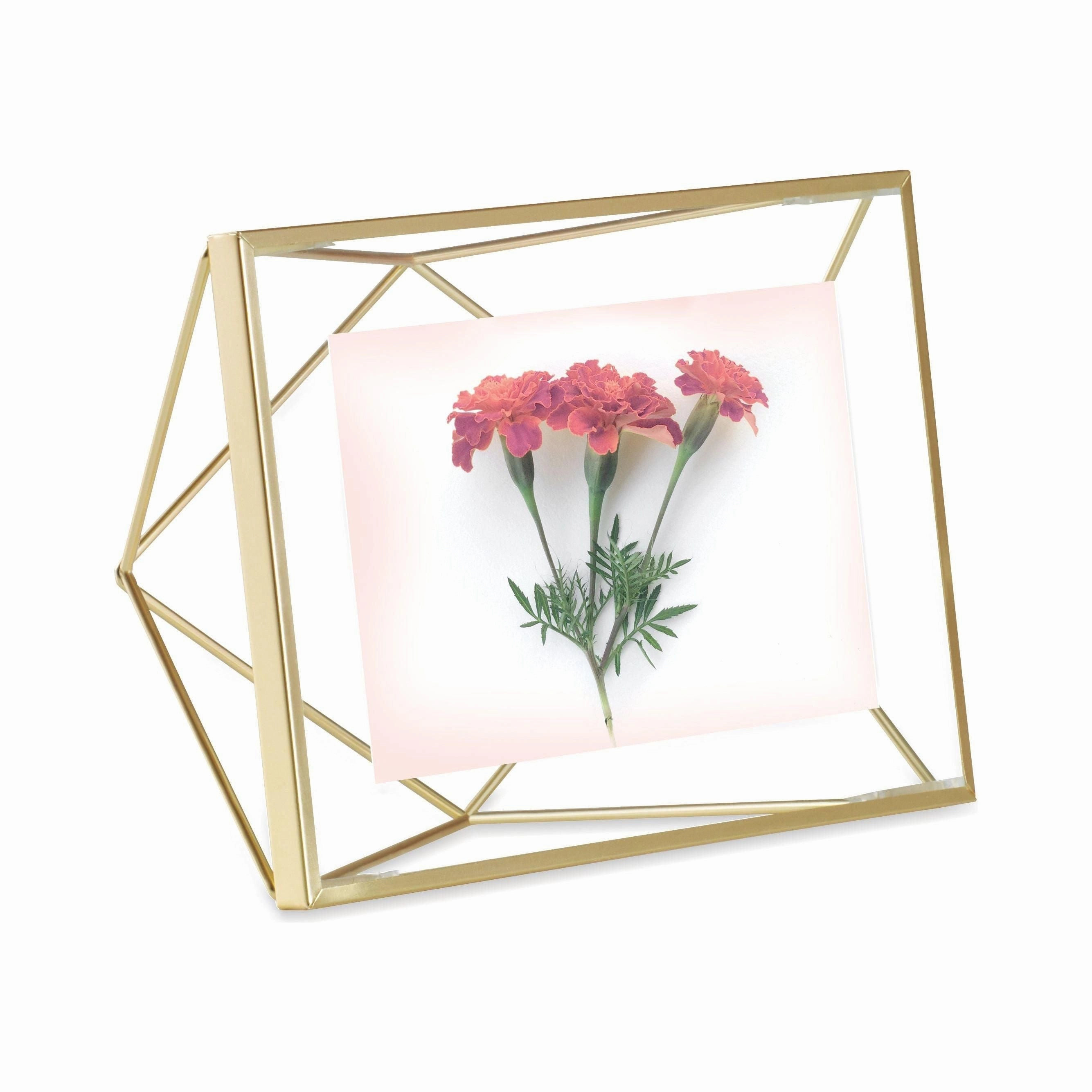 Prisma Picture Frame