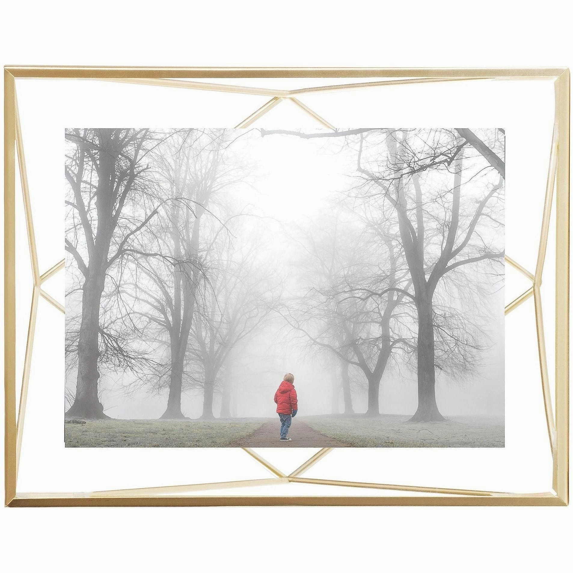 Prisma Picture Frame