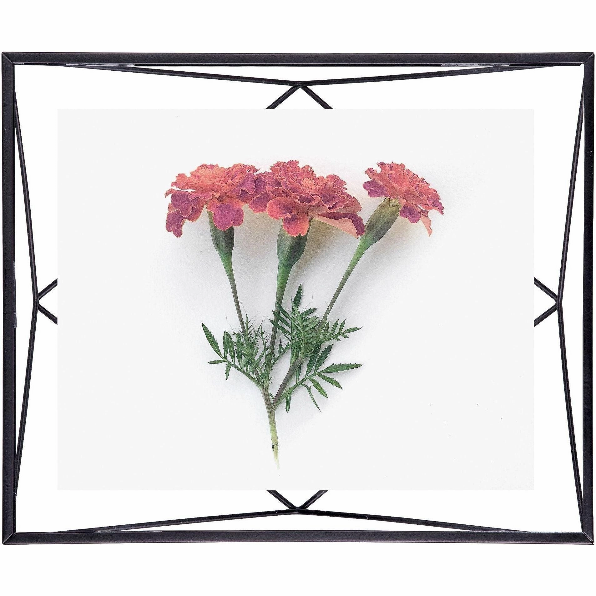 Prisma Picture Frame