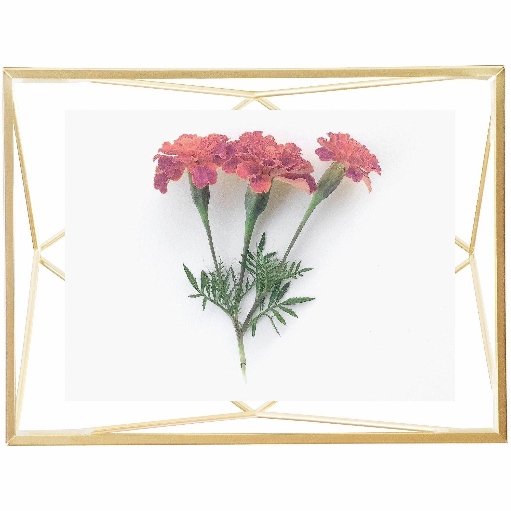 Prisma Picture Frame