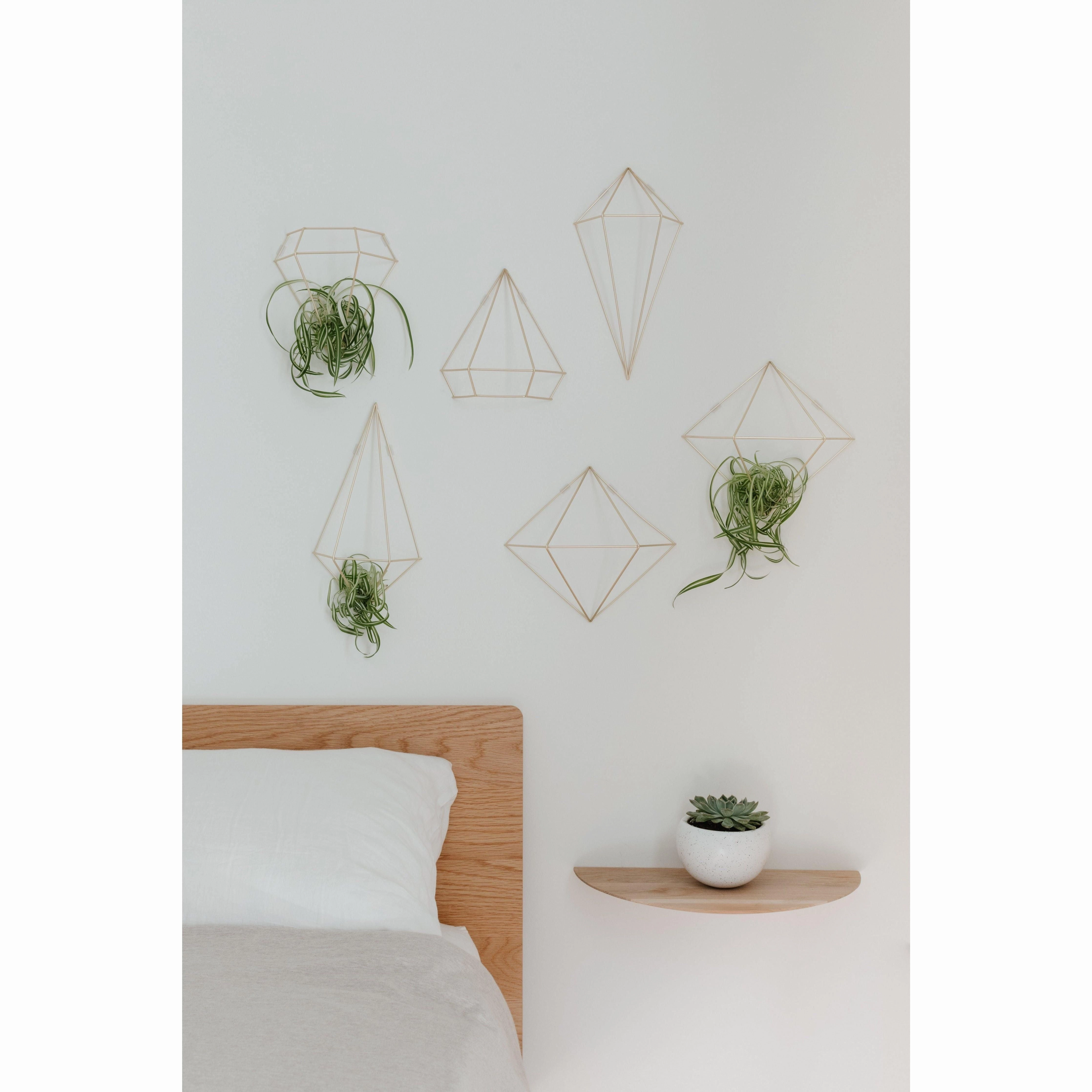Prisma Wall Decor (Set of 6)