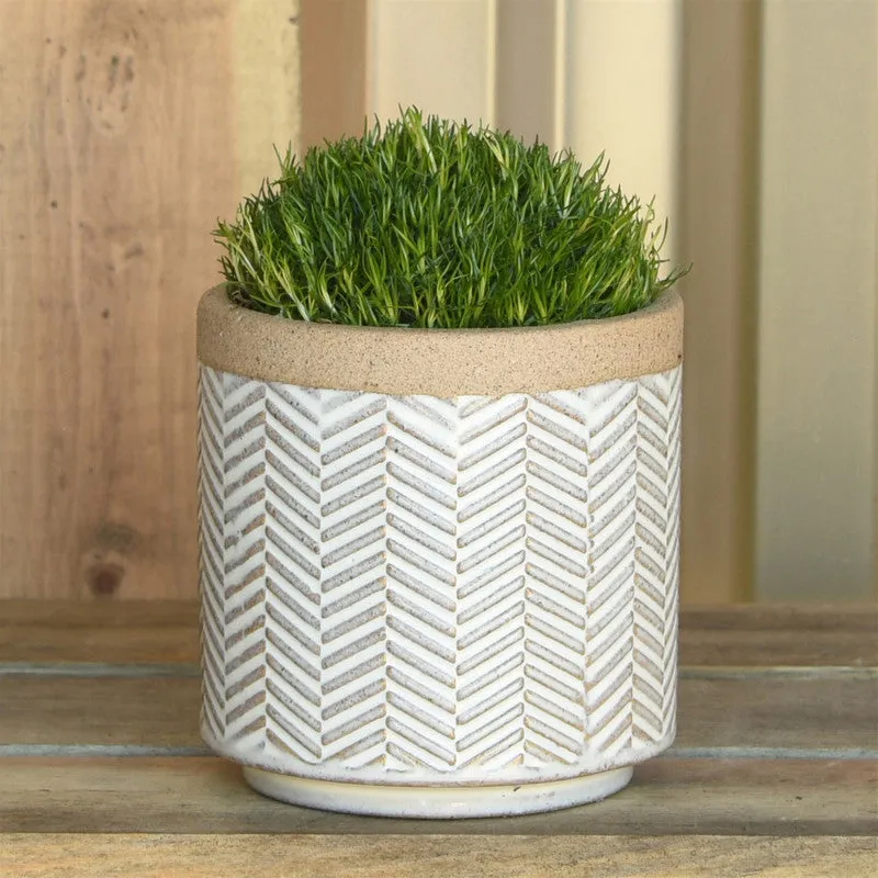 Ramos Banded Chevron Cachepot, Stoneware - 2.5"