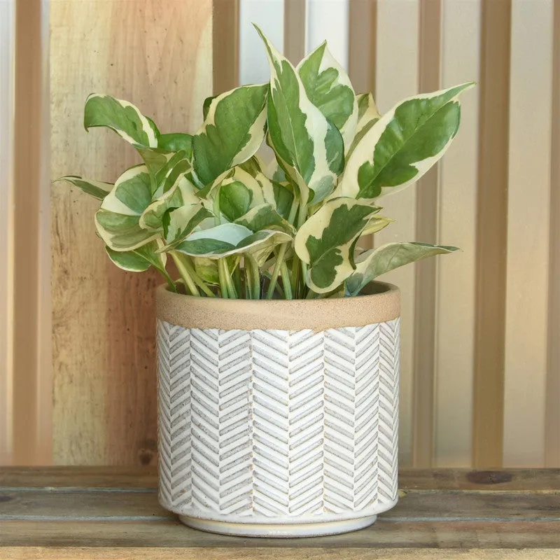 Ramos Banded Chevron Cachepot, Stoneware - 4"