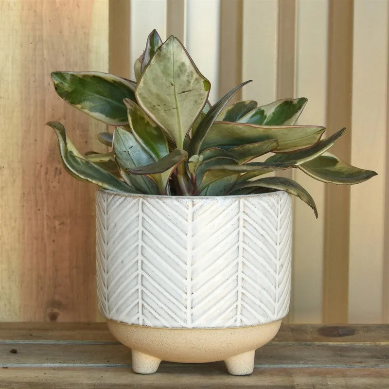 Ramos Chevron Cachepot, Stoneware - 4"
