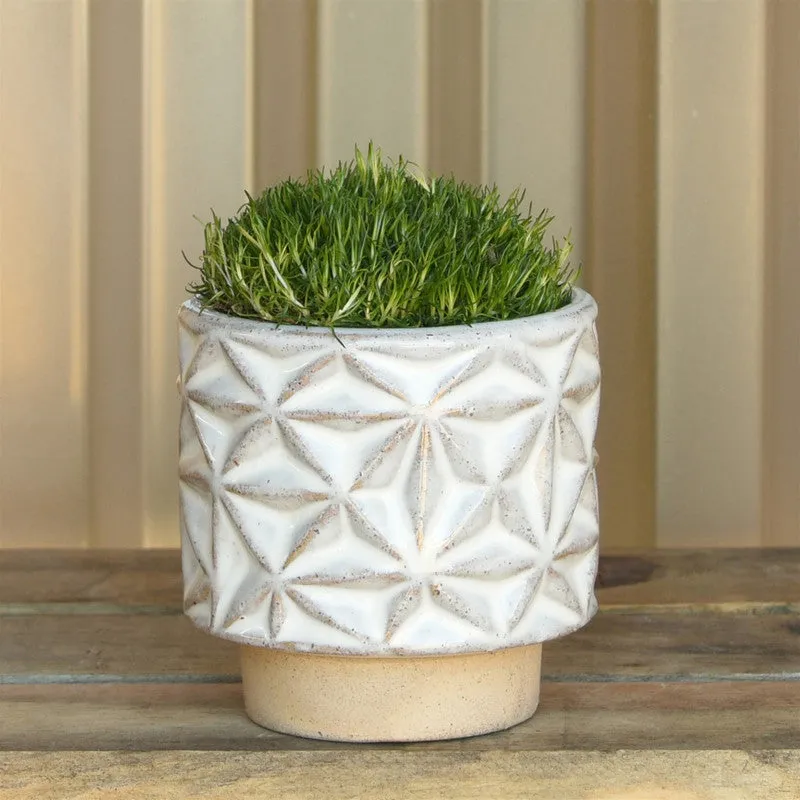 Ramos Geometric Cachepot, Stoneware - 2.5"