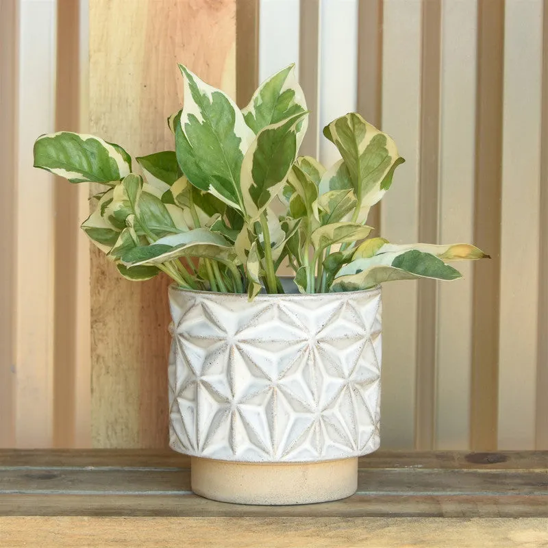 Ramos Geometric Cachepot, Stoneware - 4"