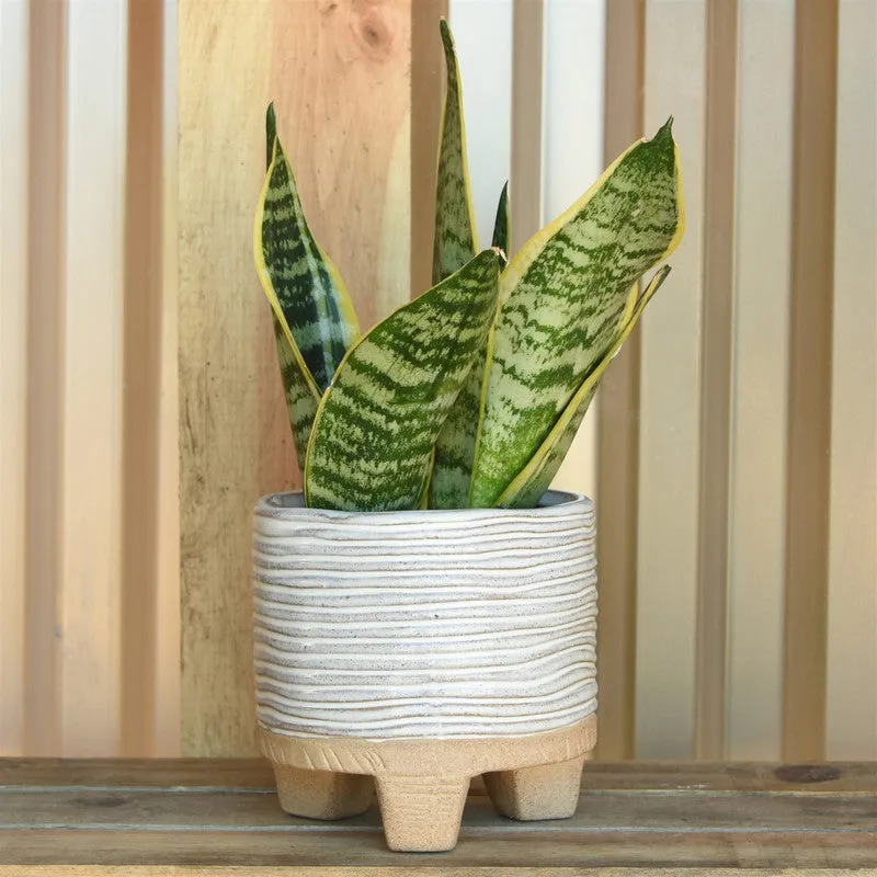 Ramos Horizontal Stripe Cachepot, Stoneware - 4"