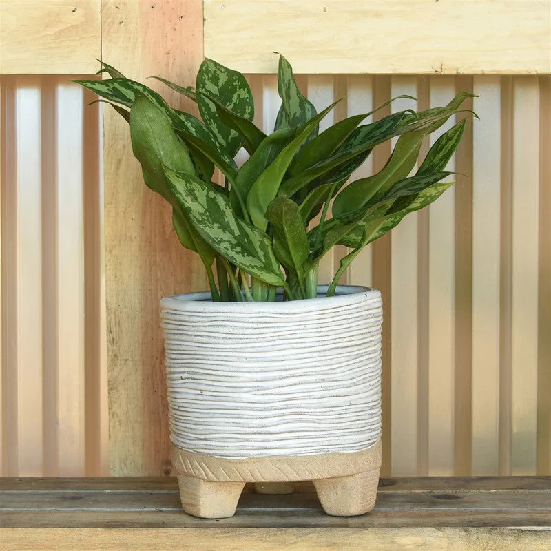 Ramos Horizontal Stripe Cachepot, Stoneware - 6"