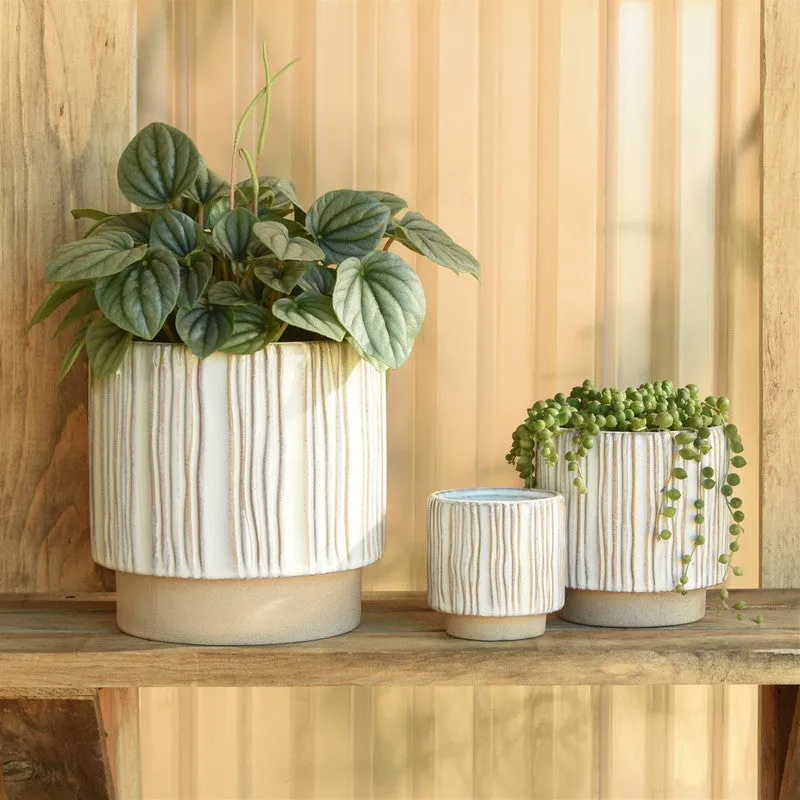 Ramos Vertical Stripe Cachepot, Stoneware - 6"