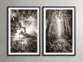 Redwoods I (Set of 2) Wall Art,canvas wall art set