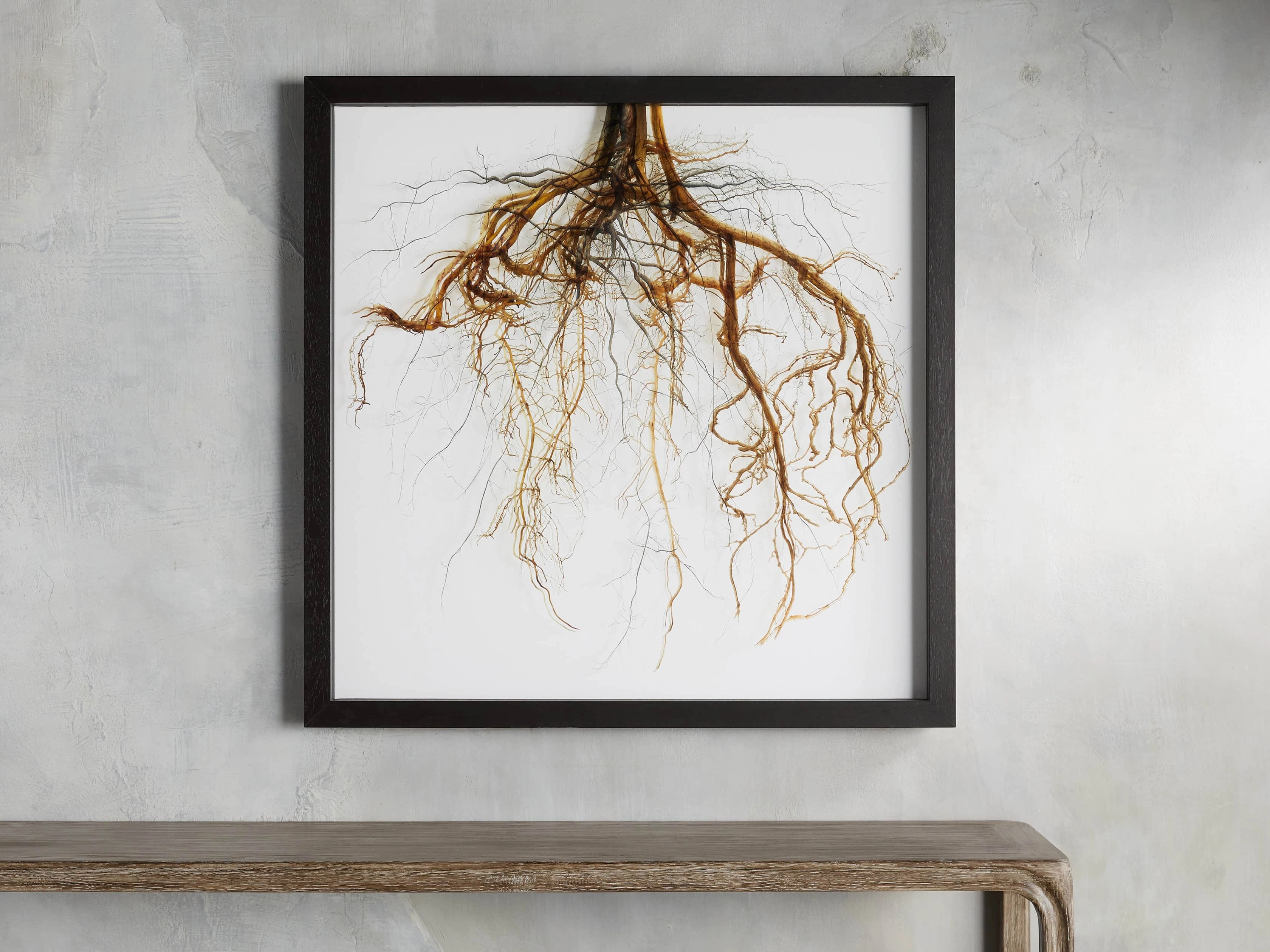 Roots Framed Print Wall Art,canvas wall art set