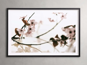 Sakura Framed Print Wall Art,canvas wall art set