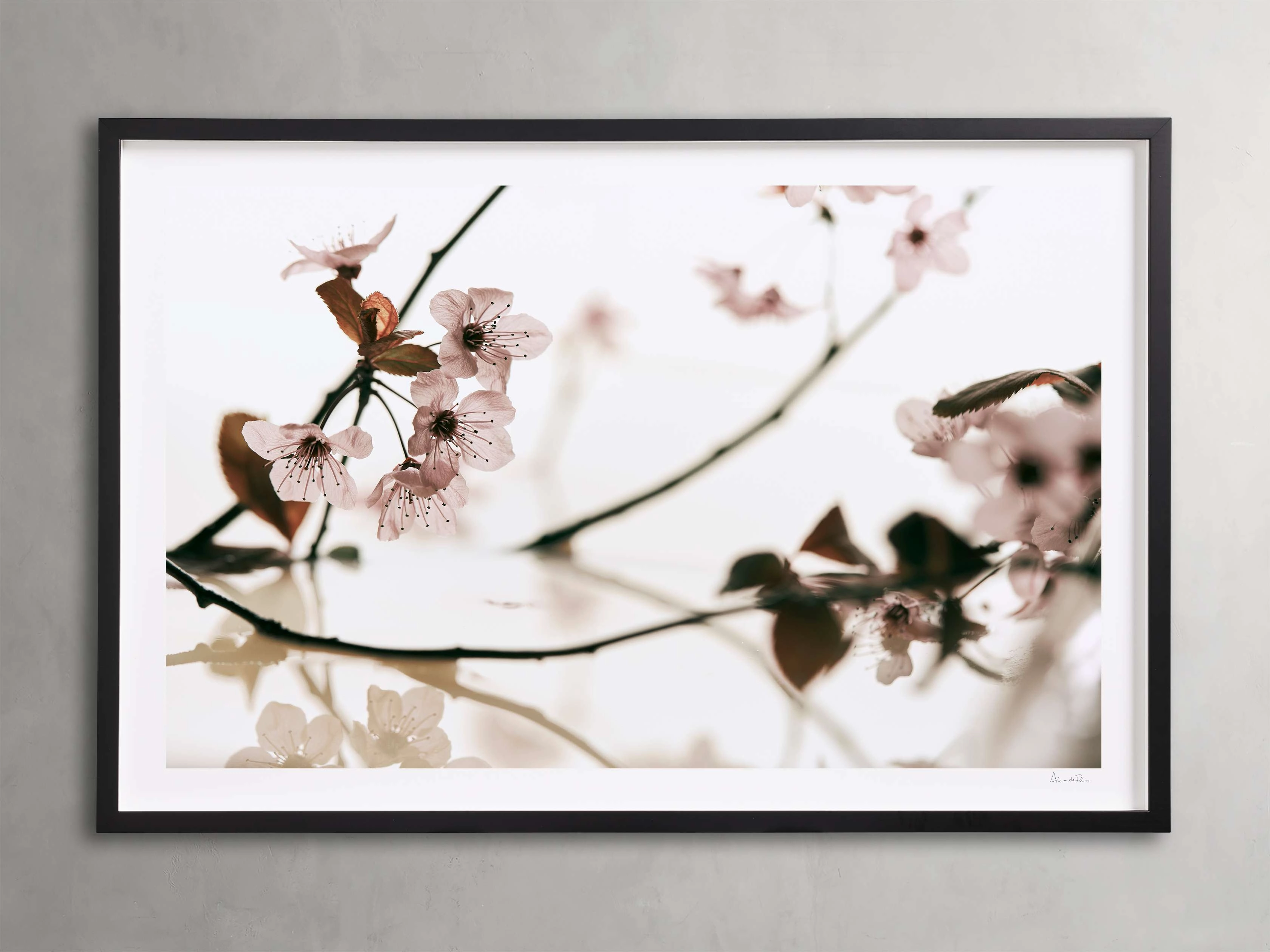 Sakura Framed Print Wall Art,canvas wall art set