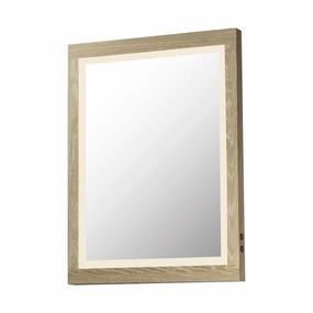 Sawyer 24" x 32" LED Mirror Mirrors,large decorative mirror