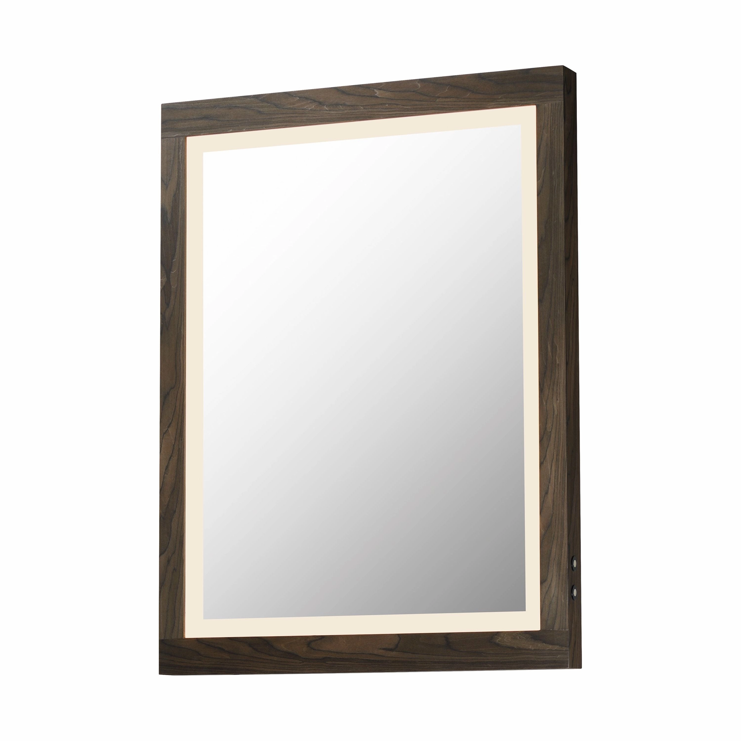 Sawyer 24" x 32" LED Mirror Mirrors,large decorative mirror