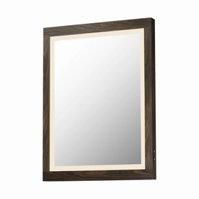 Sawyer 24" x 32" LED Mirror Mirrors,large decorative mirror