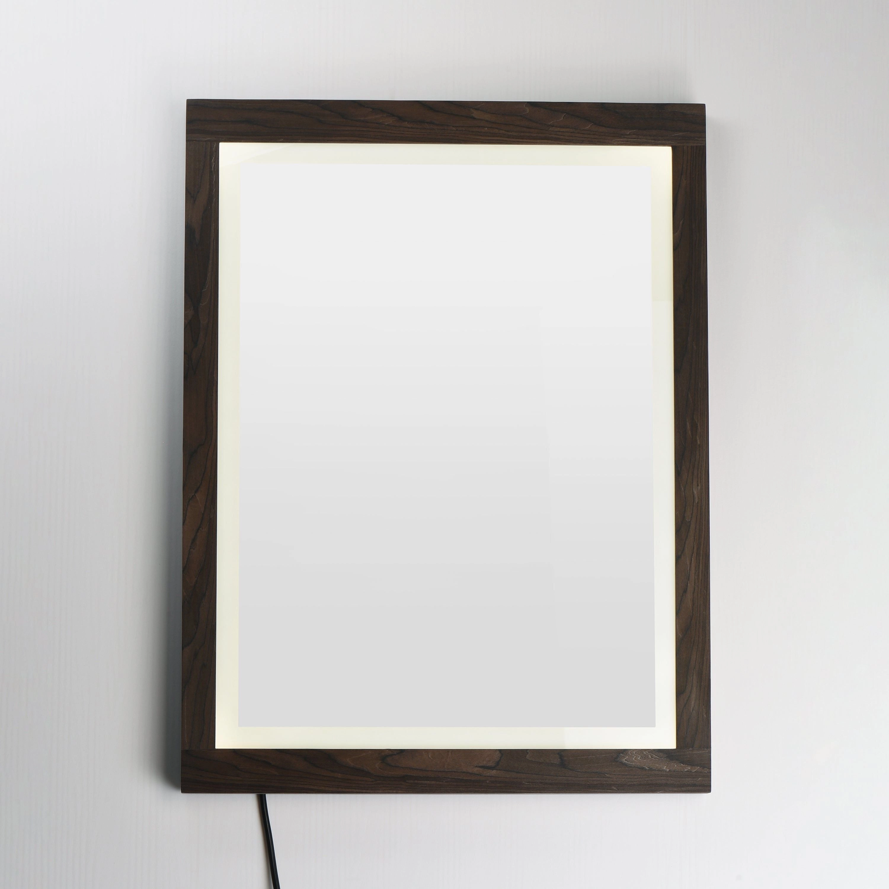 Sawyer 24" x 32" LED Mirror