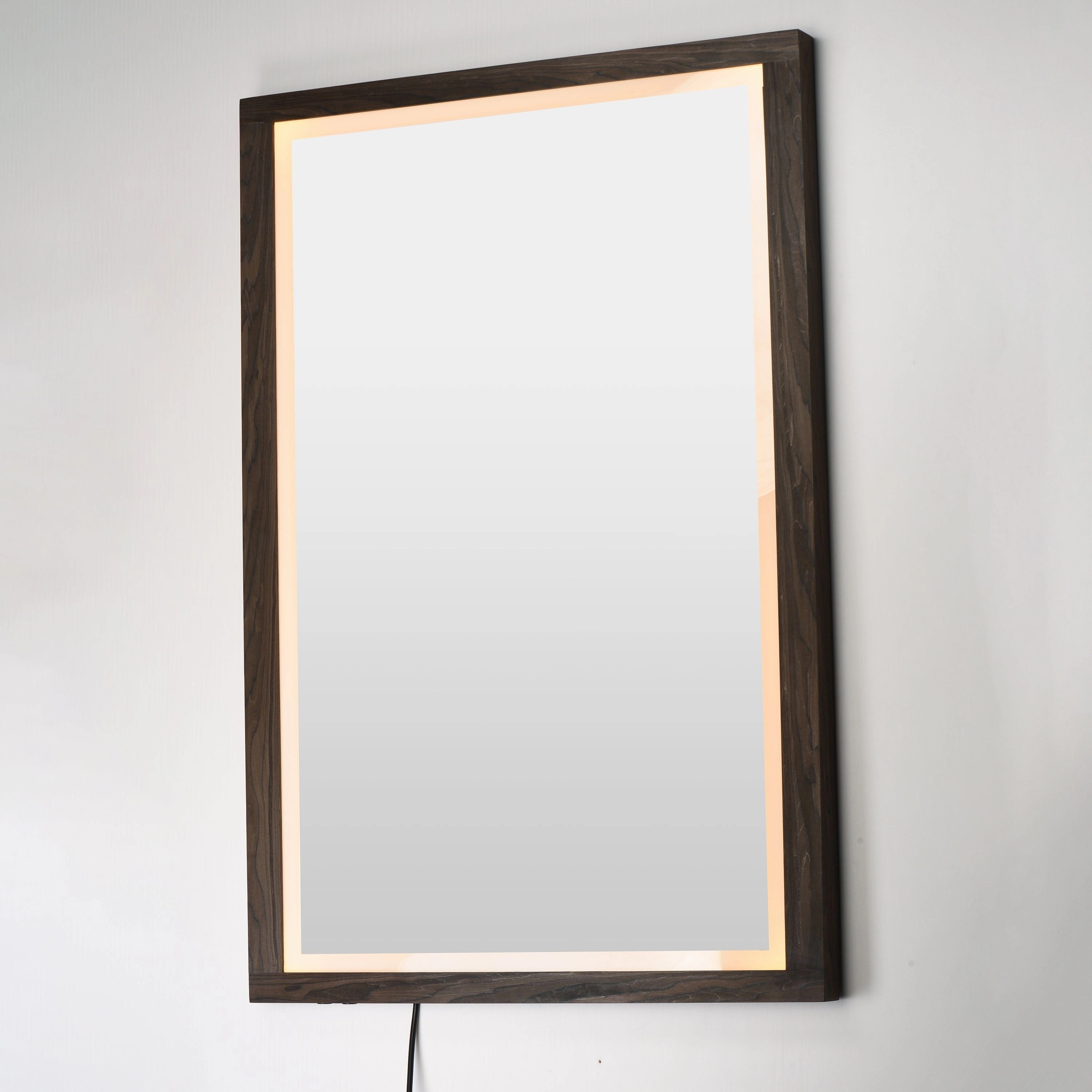 Sawyer 48" x 32" LED Mirror