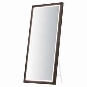 Sawyer 68" x 32" LED Mirror Wall Decor,modern wall decor set